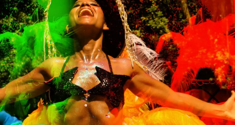 Liberdade, Folia e Luta